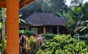 Dina Home Stay At Desa Wisata Wongayagede